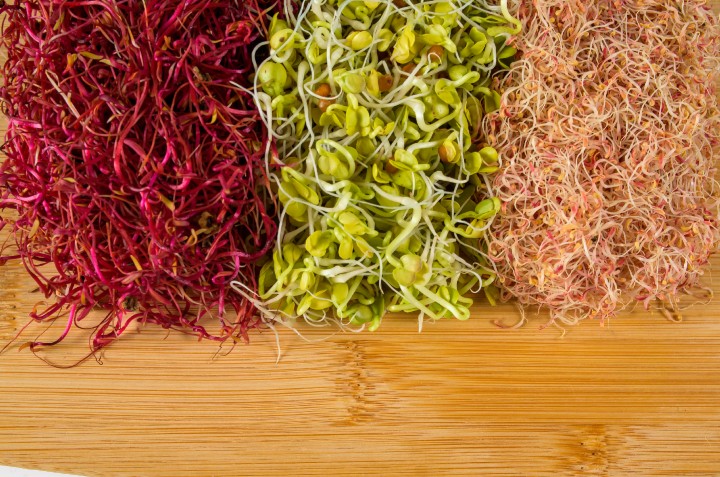 Mito 3. Todas las semillas generan germinados. Falso. 