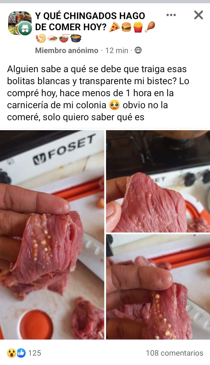 carne con bolitas blancas 