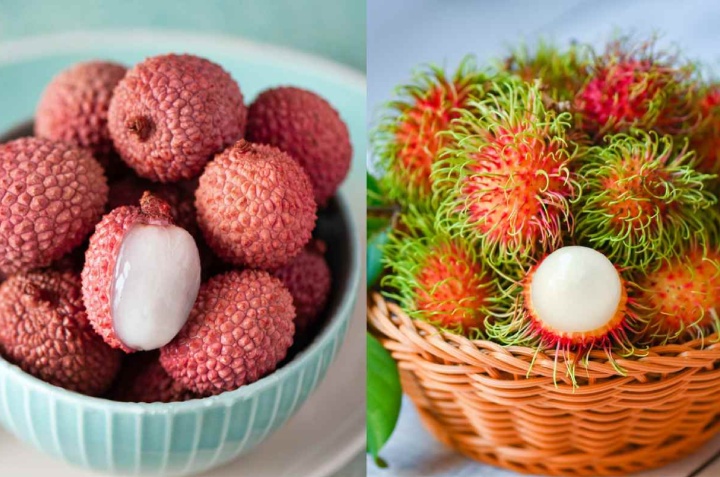 diferencia entre lichi y rambután