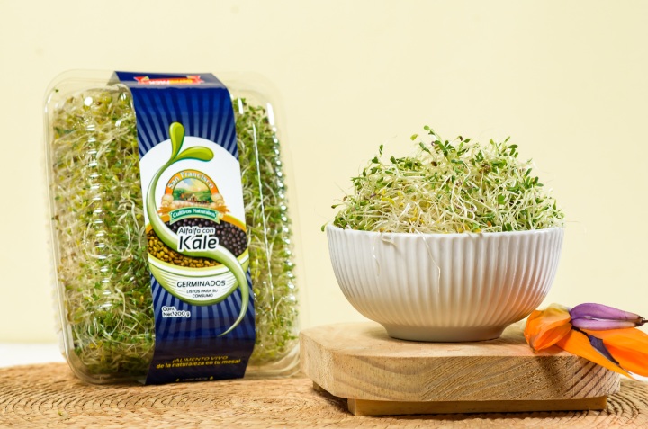 Mito 2. Los germinados cocidos pierden sus nutrientes. Falso