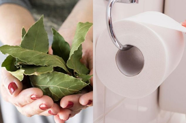 Por qué debes meter una hoja de laurel dentro del papel higiénico