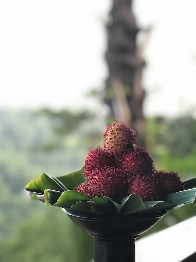 Conoce la diferencia entre lichi y rambután, frutas de temporada 1