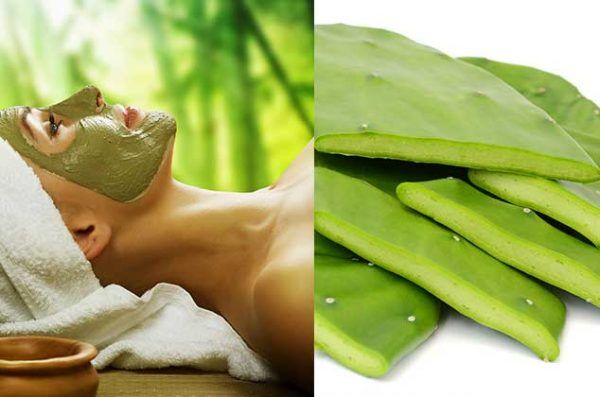 Mascarilla de baba de nopal