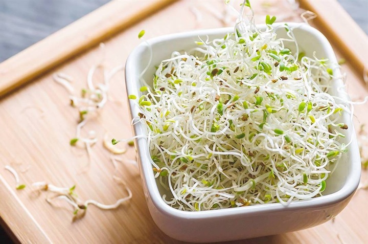 Mito 4. Todos los germinados tienen Vitamina B12. Falso.