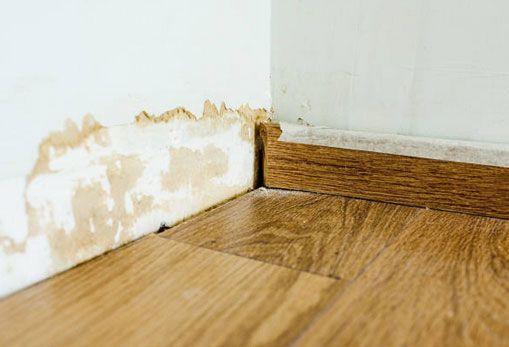 eliminar humedad en casa 