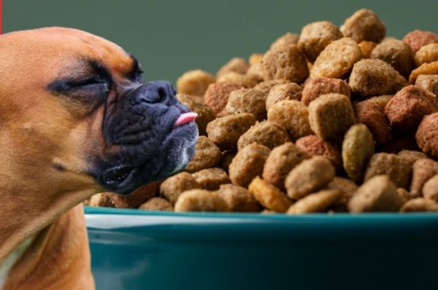 Las 8 peores marcas de croquetas para perro, según Profeco