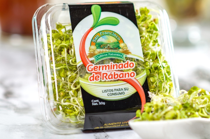 Mito 5. Los germinados son los únicos alimentos vivos que podemos consumir.  Cierto.