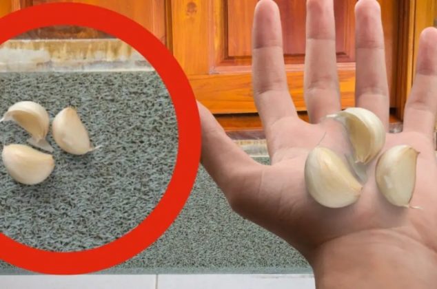 Por qué debes dejar un ajo en la puerta principal de la casa