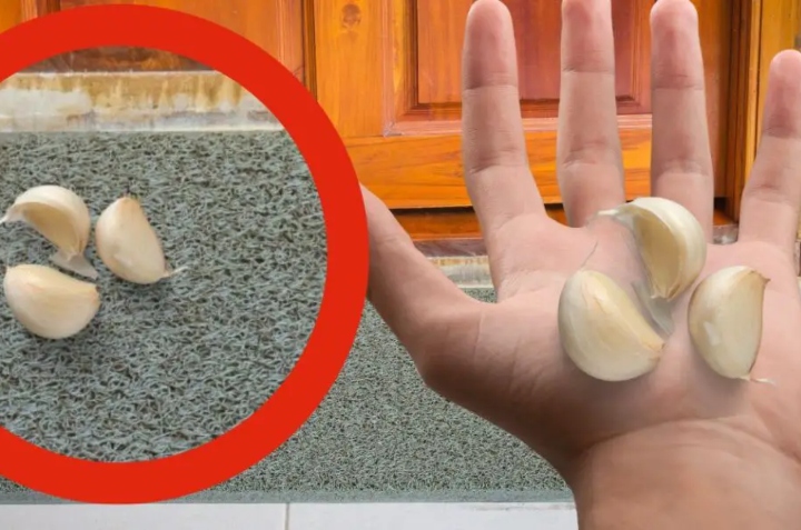 ajo para alejar lagartijas