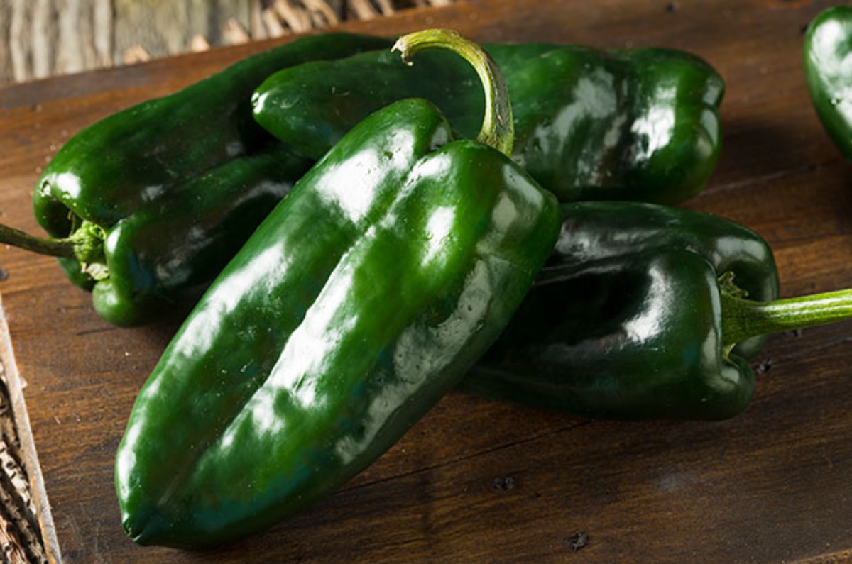 chile poblano original