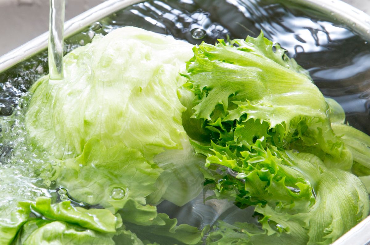 cómo lavar la lechuga