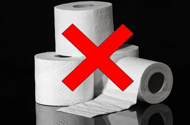 Por estas 3 razones están dejando de usar papel higiénico en el baño