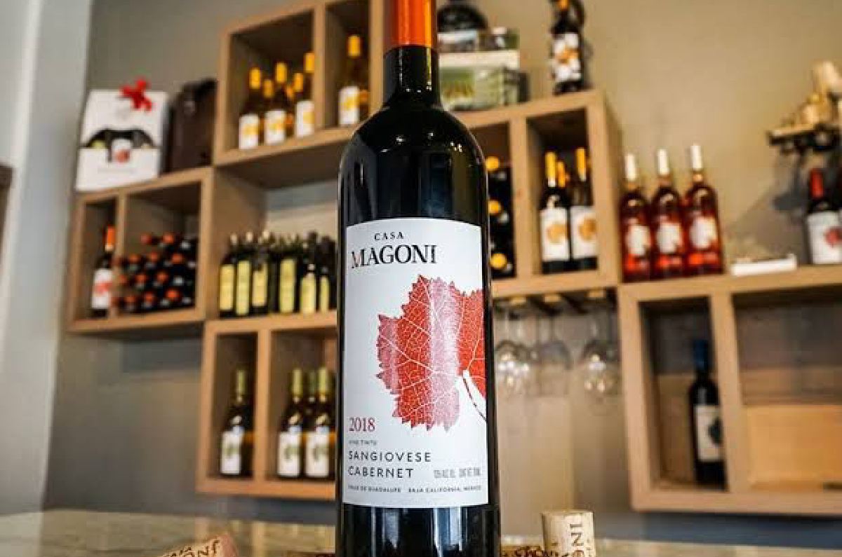 IDI Distribuciones y Bodegas Magoni unen fuerzas para presentar la exquisitez de Baja California en sus vinos