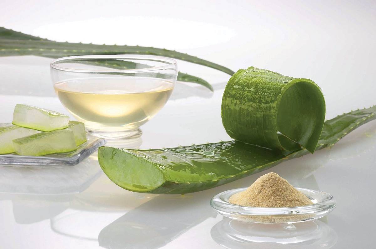 ¿Cómo hacer jabón de aloe vera?