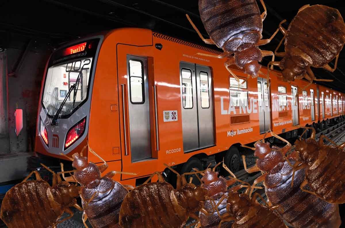 chinches en el metro 2023