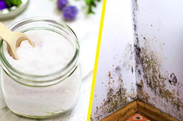 Cómo eliminar el moho rápidamente y de forma natural con 4 remedios caseros
