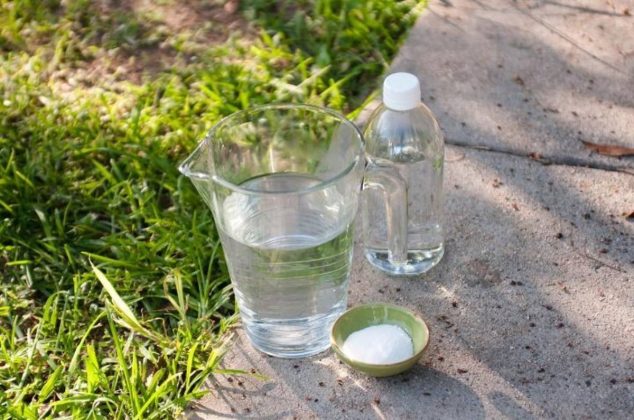 Cómo eliminar malas hierbas del jardín para siempre con mezcla casera
