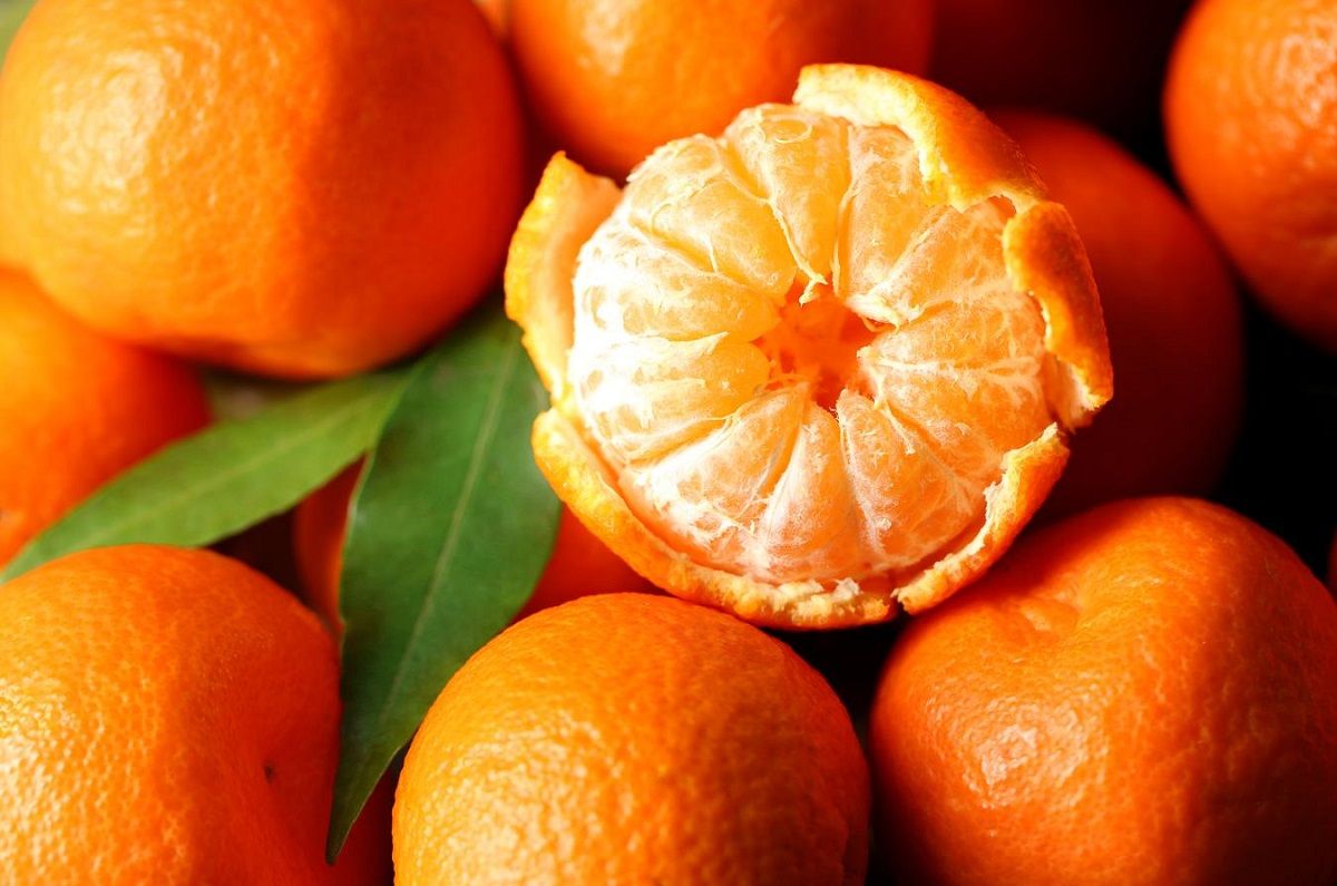 Cómo conservar mandarinas