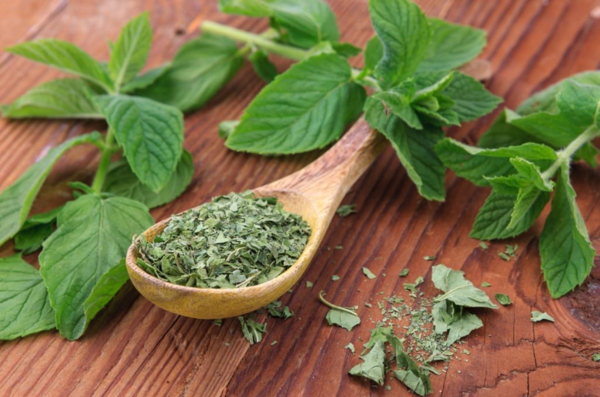 hojas de menta en el suelo