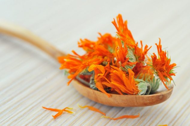 ¿Qué hacer con las flores de cempasúchil en casa? 5 usos