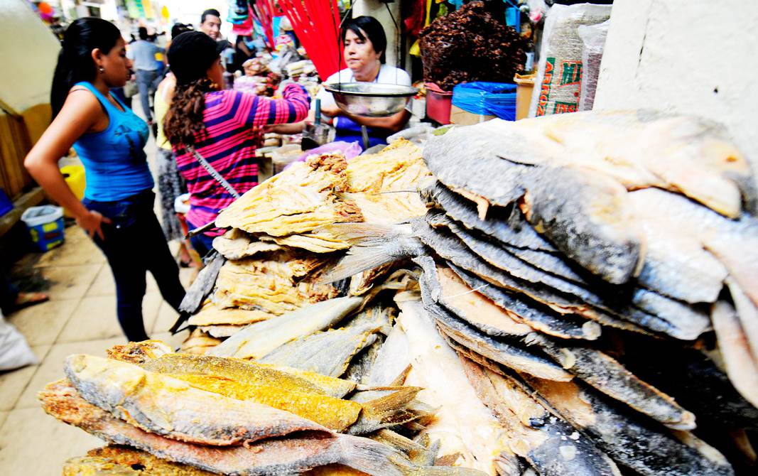 cómo identificar un bacalao pirata