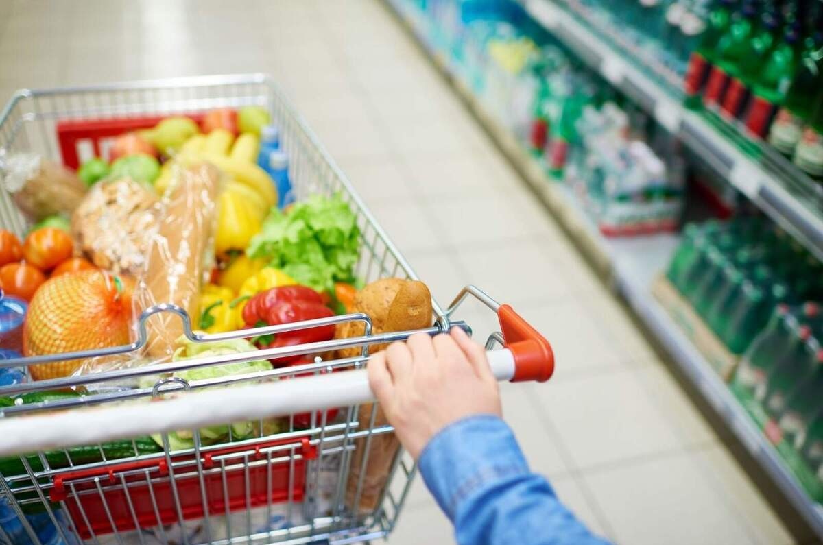 canastilla del carrito del supermercado