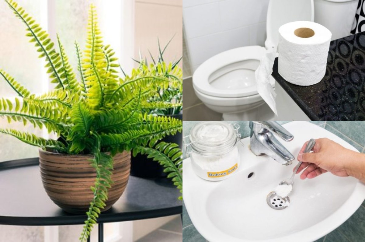 ¿Cómo eliminar malos olores de casa? Checa 7 trucos caseros y efectivos
