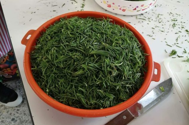 Cómo elegir y limpiar romeritos de manera fácil para ahorrar tiempo