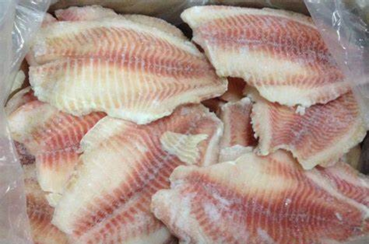 fraude del pescado tilapia