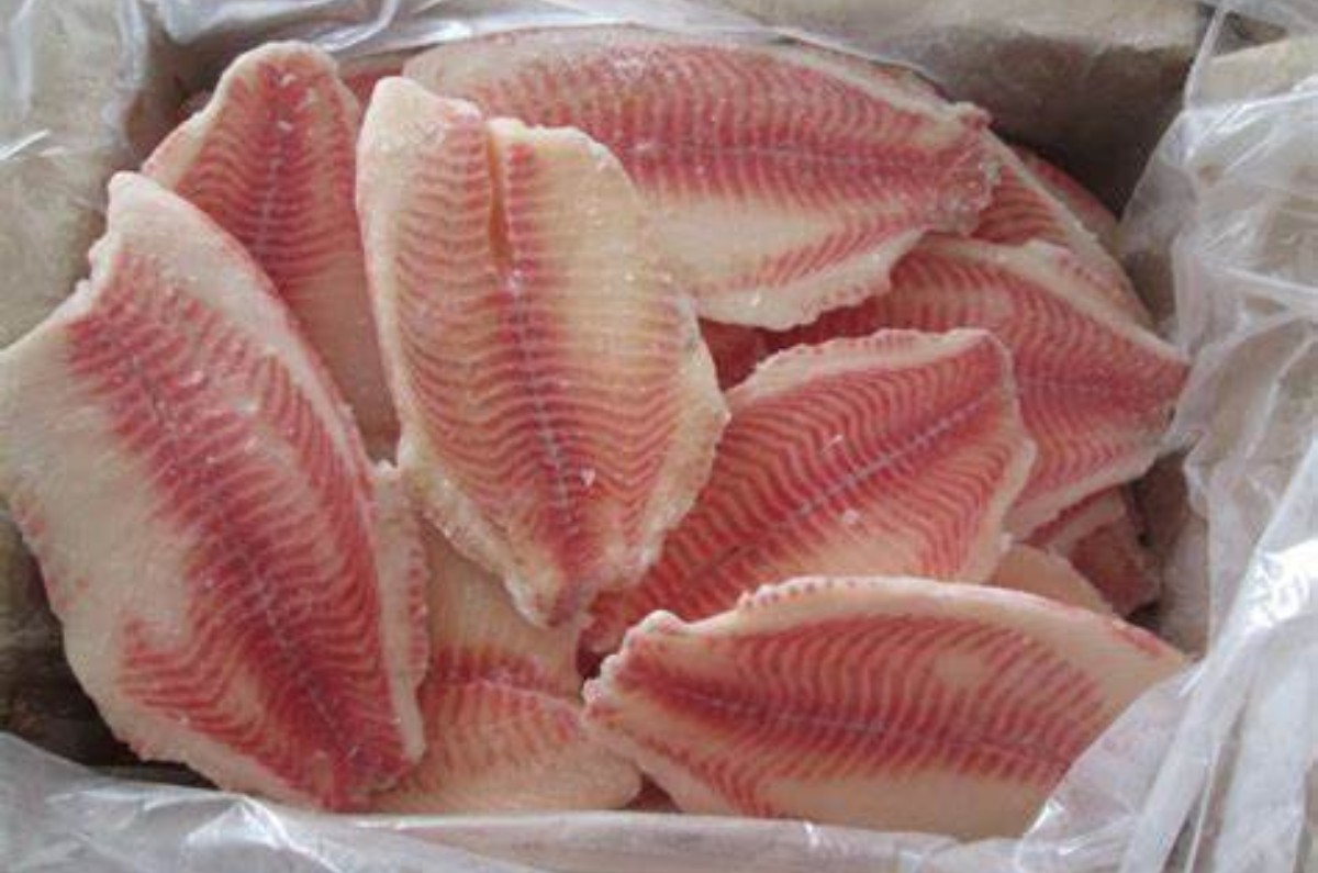 fraude del pescado tilapia
