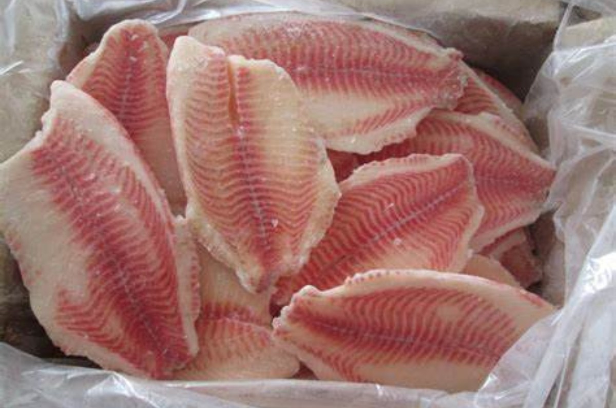 fraude del pescado tilapia 