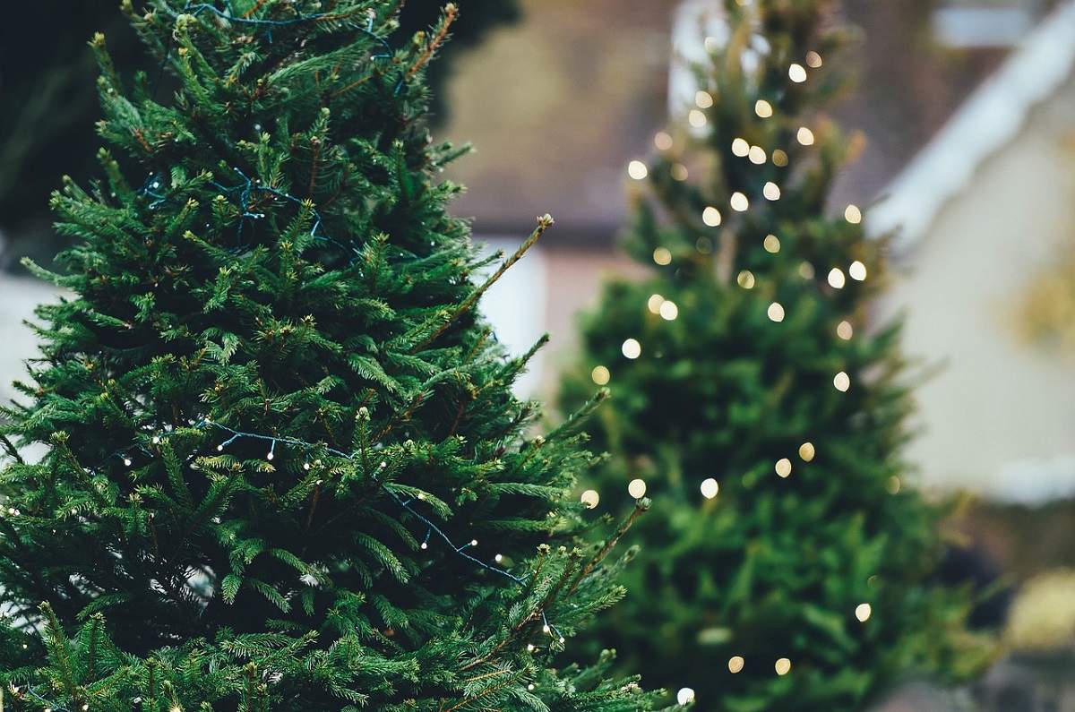 cómo limpiar tu árbol de navidad artificial con vinagre