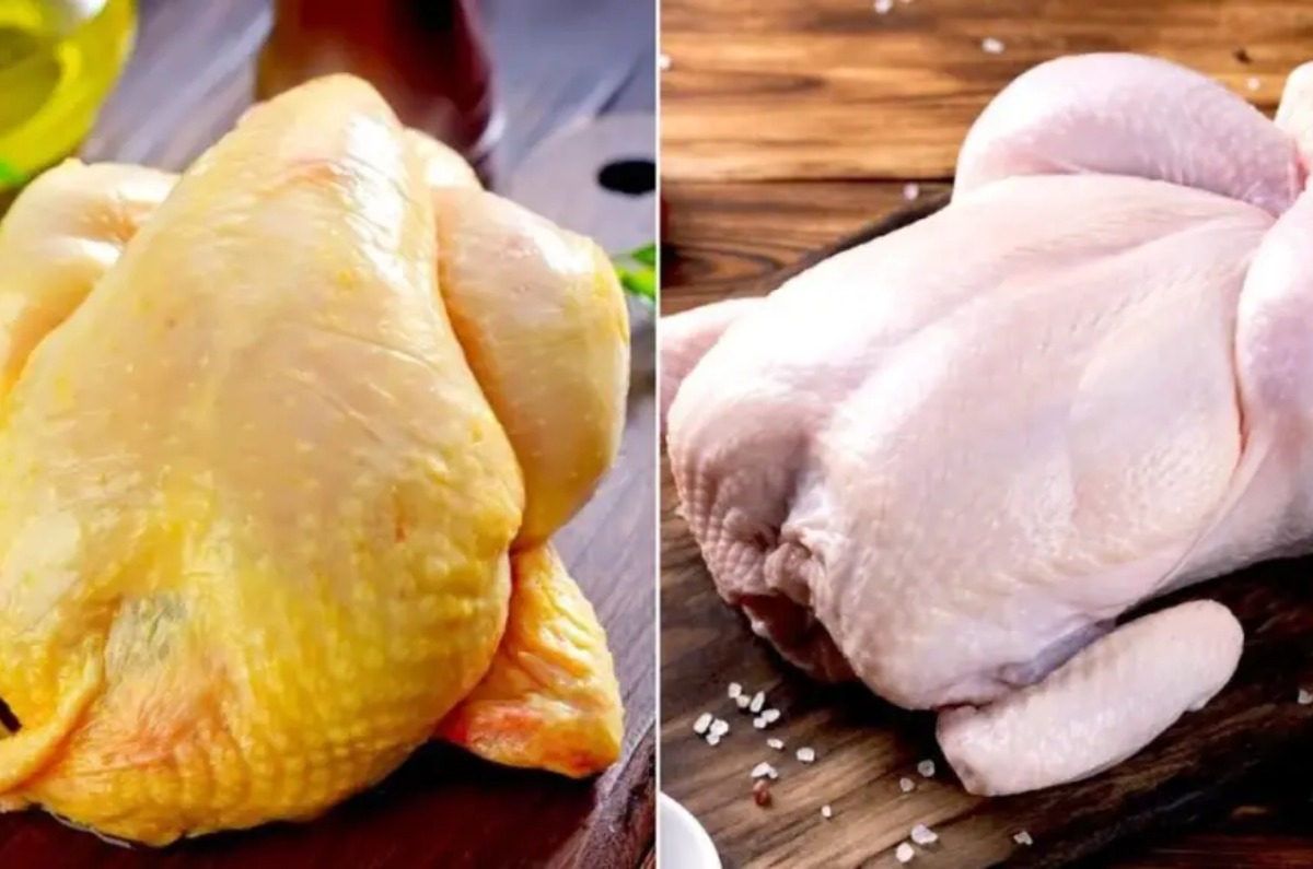 pollo amarillo o blanco diferencias