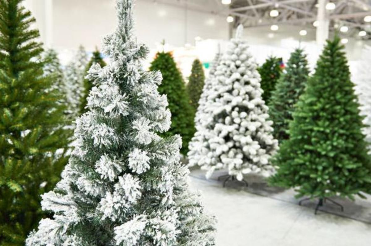 caracteristicas del árbol de navidad