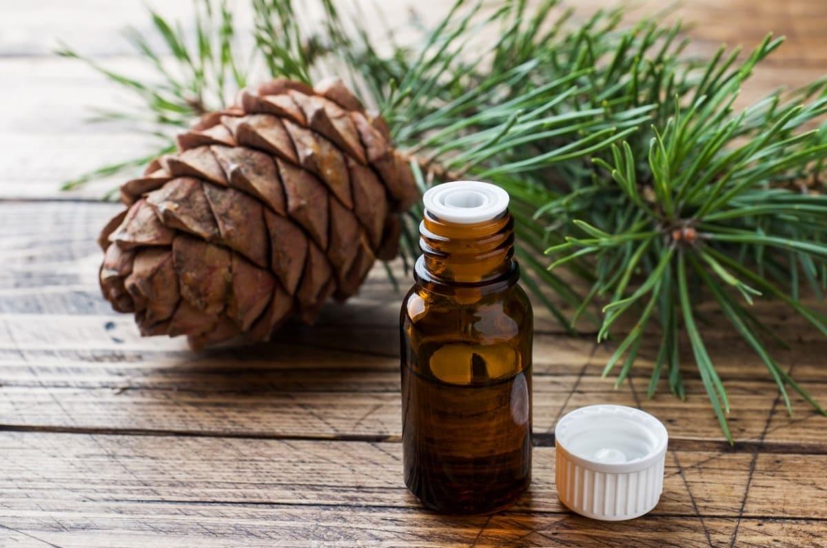 Haz que tu casa huela a Navidad con este aromatizante de pino natural