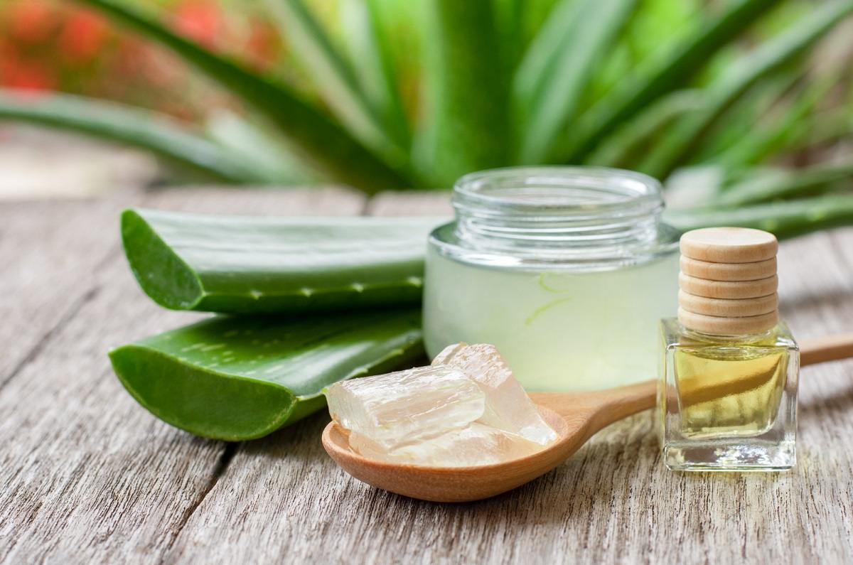 Cómo hacer colágeno natural y casero con aloe vera