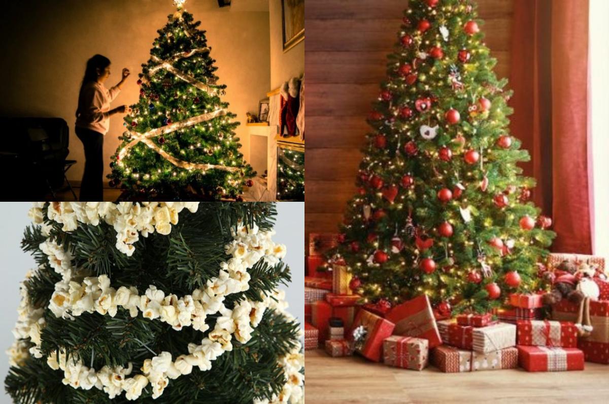 4 cosas que debes poner en tu árbol de Navidad para atraer salud, dinero y amor