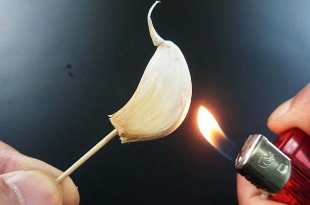 Beneficios de quemar un diente de ajo dentro de casa
