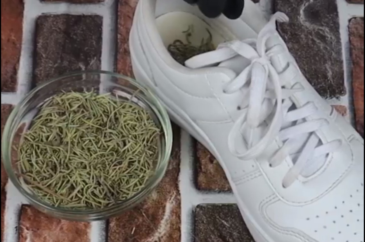 poner romero en los zapatos