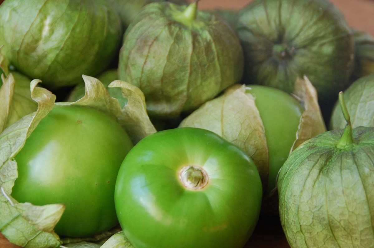 cáscara de tomate verde
