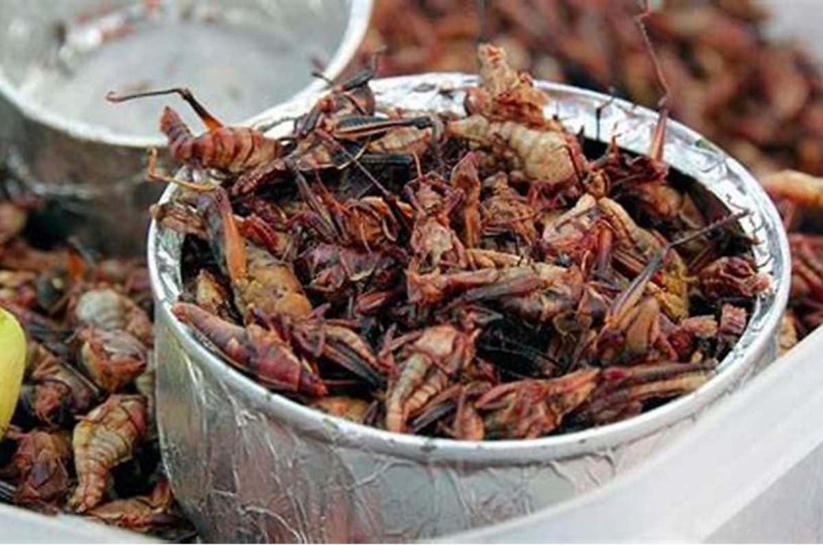 Los chapulines son tradicionales en el mercado. 