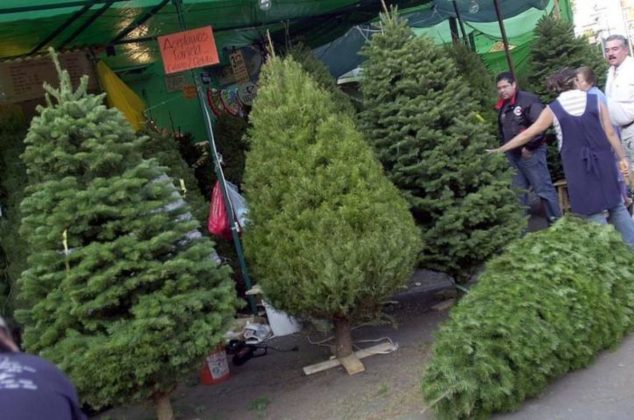 ¡No lo tires! 10 maneras de reciclar tu árbol de Navidad natural