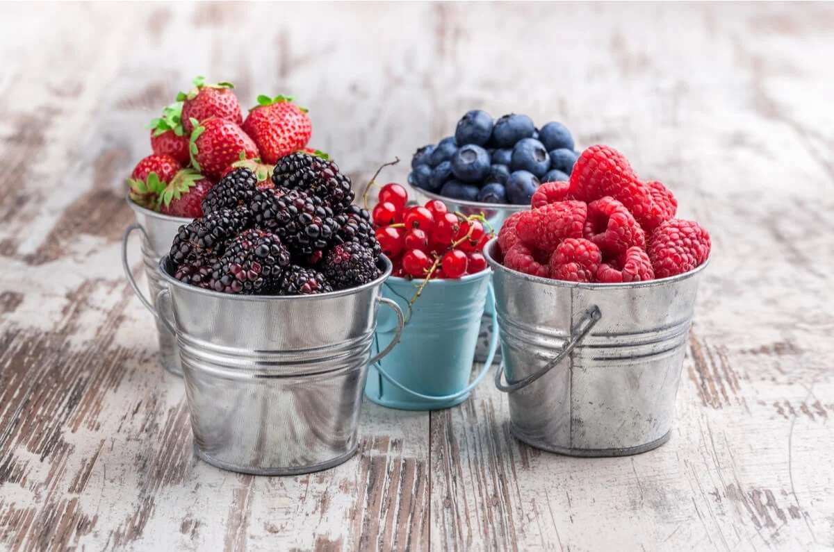 Cómo conservar frutos rojos en casa