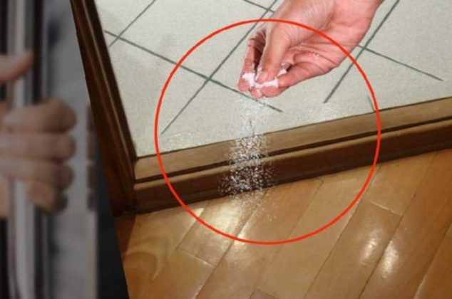Beneficios de espolvorear sal en la puerta de la entrada de tu casa