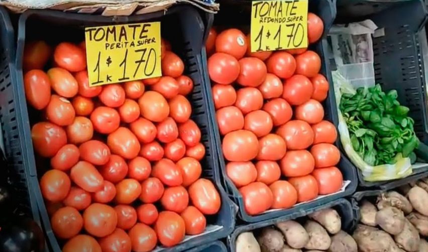 preciodelkilodejitomateprofeco2024