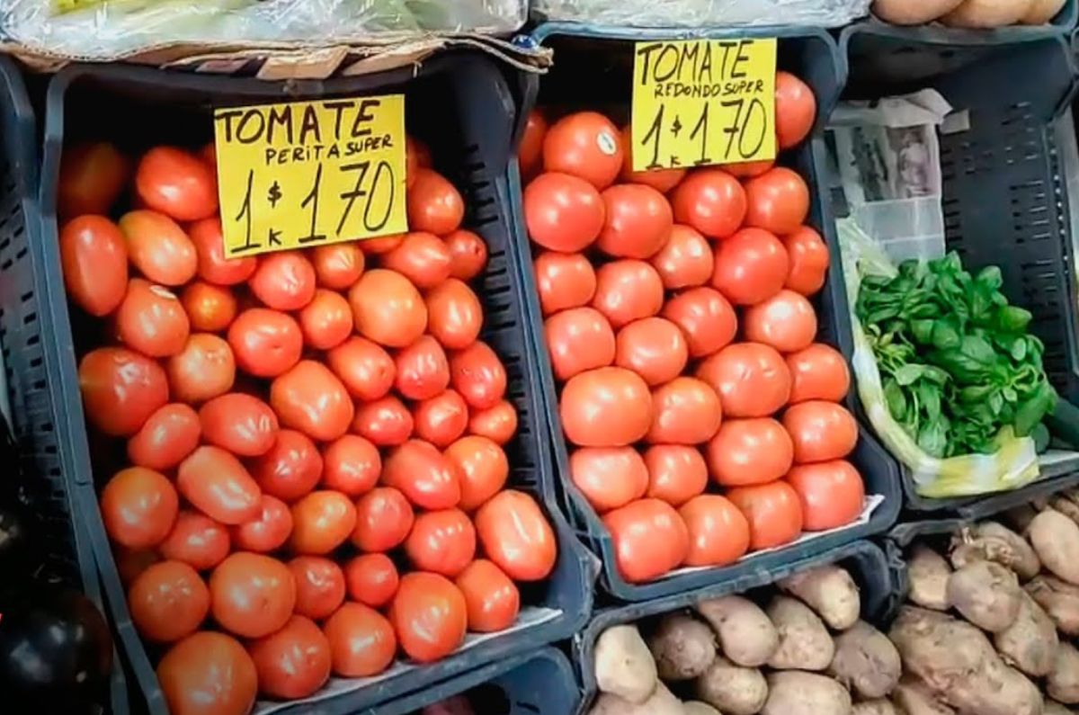 precio del kilo de jitomate