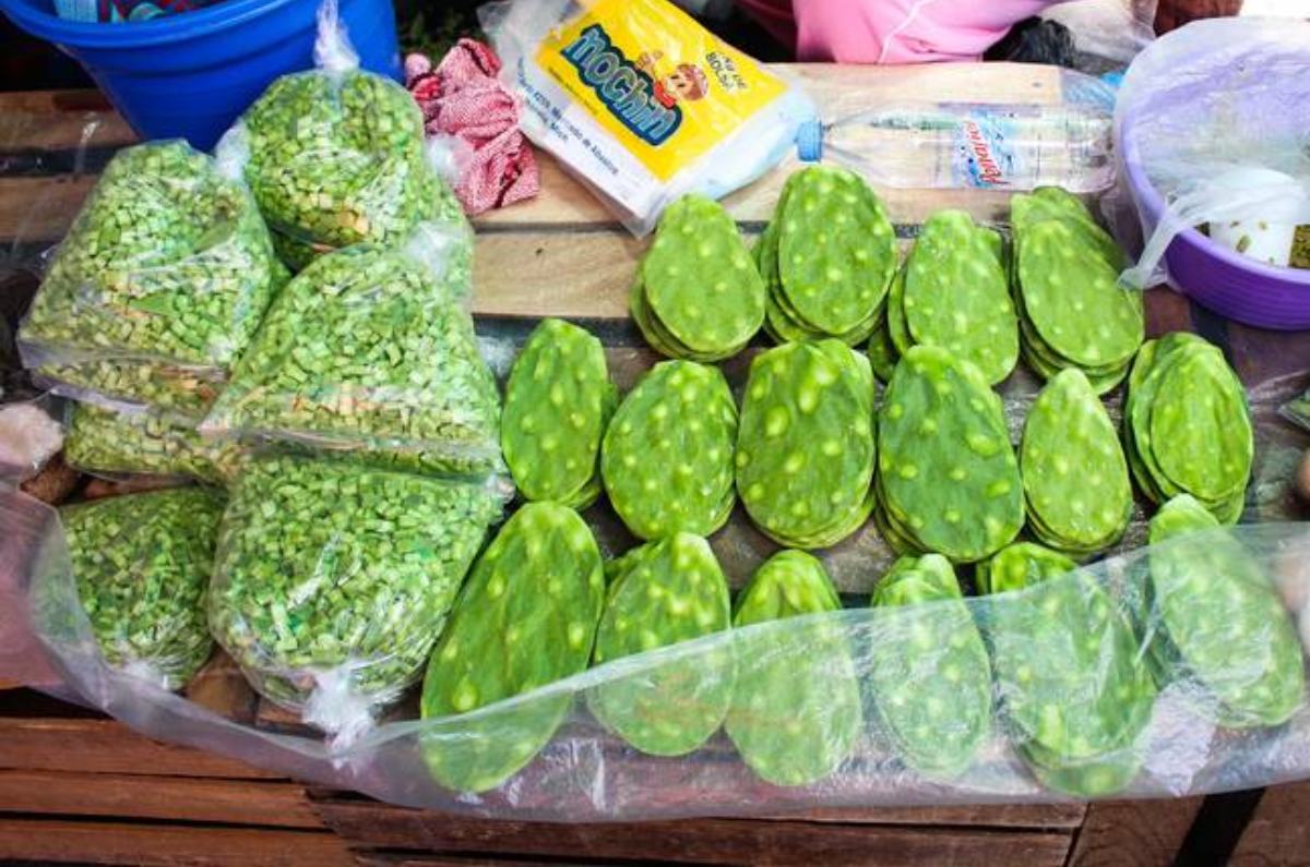 precio del nopal