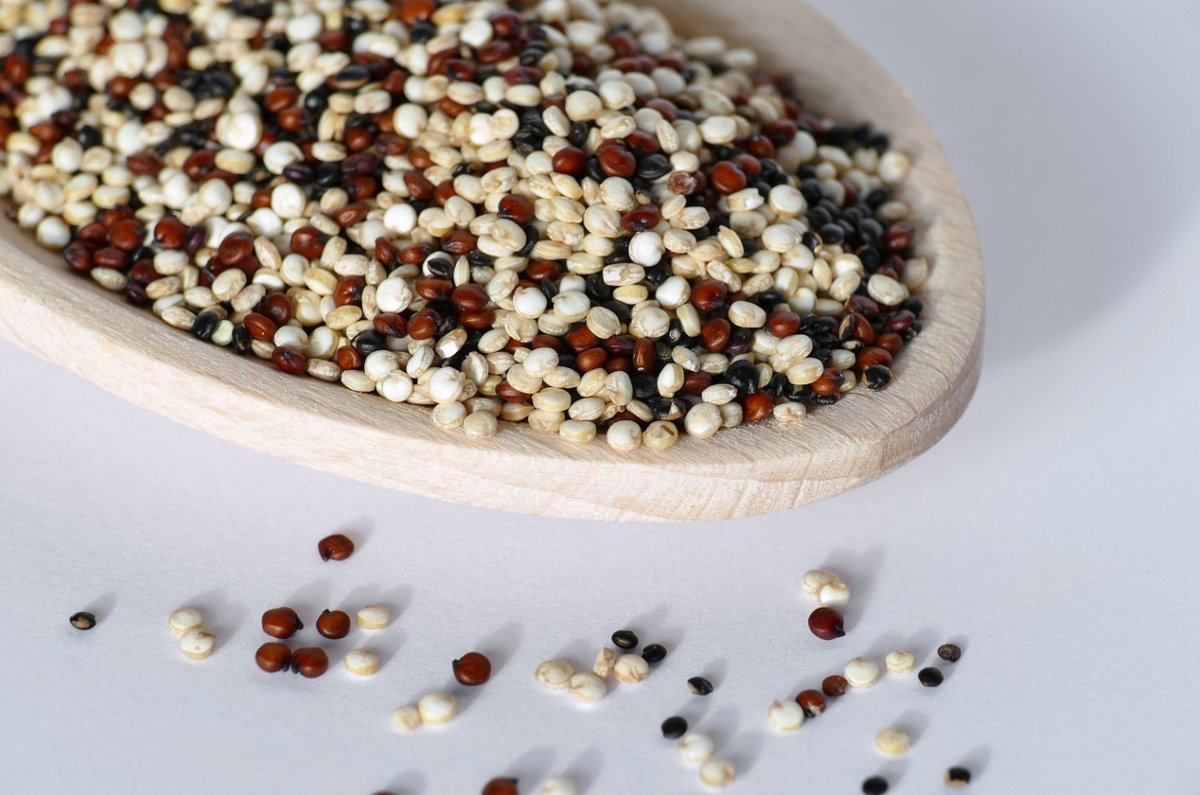 ¿Cómo lavar quinoa correctamente y los tipos de quinoa que existen? 1