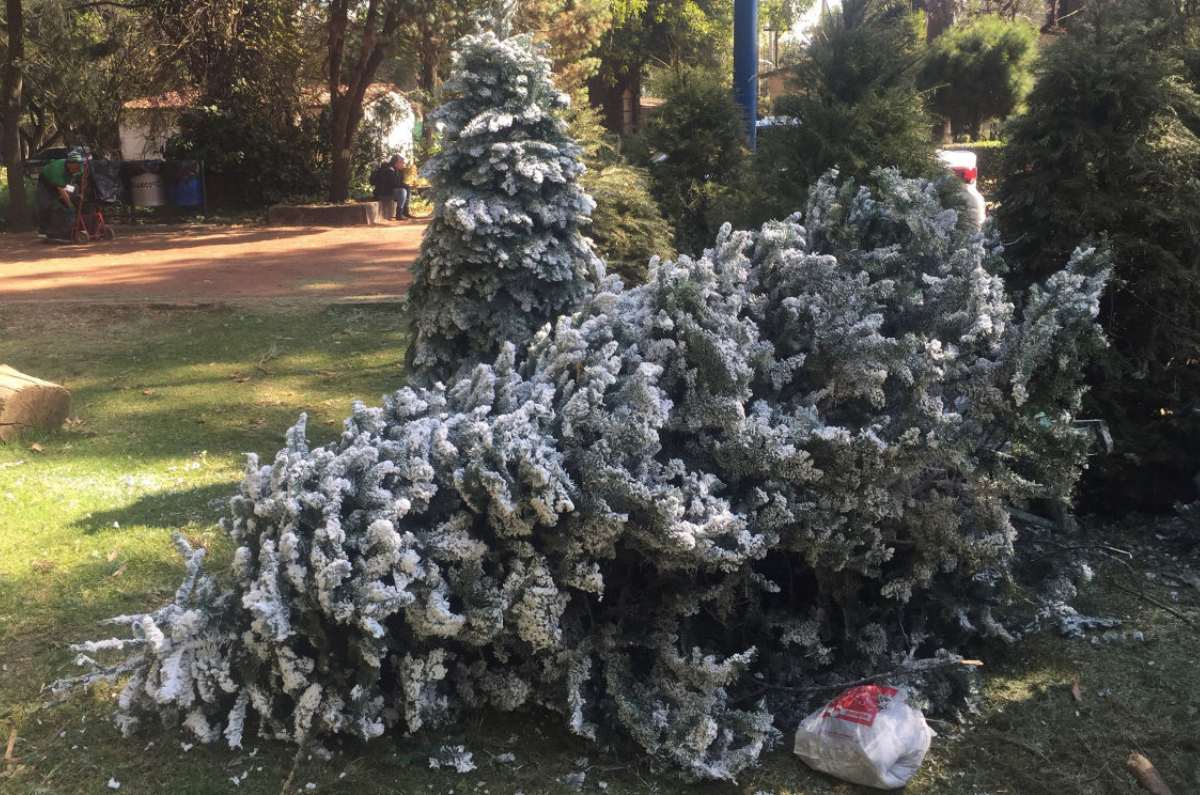 Si tienes chimenea puedes hacer uso de leña siempre que esté seca. 