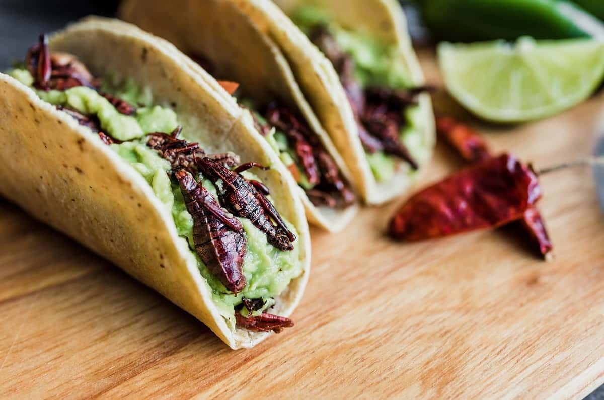 Tacos de chapulines - Oaxaca, México.